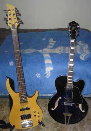 Ibanez Artcore Rogue