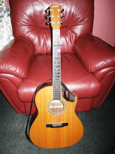 Larrivee C-09 Acoustic Guitar
